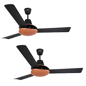 Luminous New York Hudson 1200 MM Ceiling Fan (Midnight Black, Pack of 2)