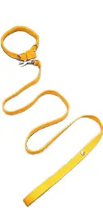 DCM PET Zone 1/2 INCH Yellow Designed Belt for Your Puppy, Cat & Small Dog Collar Belt, Dog Collar & Leash