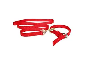 PSK PET MART Nylon Collar and Leash Set (Size - Small) for Small Dogs - Like Lhasa Apso, Beagle, Pug,Pomeranian etc (Color - RED) Width- 3/4 inch.