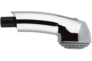 Grohe, Recambios, Recambio de Teleducha para Grifos de cocina (Ref 46312IE0), Cromo