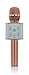 Produktbild iprotect kabelloses Bluetooth-Mikrofon mit Integriertem Lautsprecher und 5 Tasten zur Tonregelung – Karaoke-Mic (Wireless) für iOS und Android in Rosegold