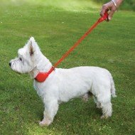 Doddle-Collar-A-Dog-Collar-with-a-built-in-lead-A-revolutionary-dog-collar-that-features-a-built-in-1m-retractable-lead-with-a-looped-handle-to-ensure-safe-control-of-your-dog-at-all-times-So-light-we
