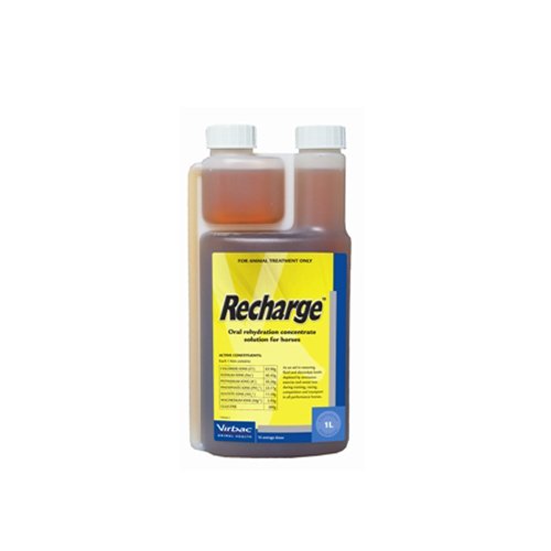 Preisvergleich Produktbild Virbac Recharge - 1 L