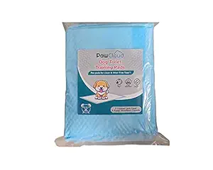 PawCloud Pet Toilet Training Pad (60 X 60 cm), 10 Piece