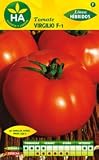  SEMILLAS TOMATE VIRGILIO HIBRIDO SOBRE
