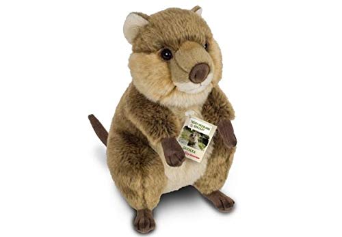 quokka peluche