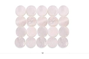 DILWE 6mm Marqueurs de Points, Accessoire pour Guitare Ukulele Basse Mandoline Banjo Décor
