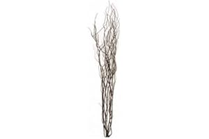 Homestreet Contorted Twisted Willow Twigs Bunch For Floor Standing Vases And Displays 120cm tall in Brown, Black, Silver, Gold or Natural (Chocolate)