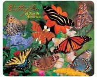 Preisvergleich Produktbild Mouse Pad Butterflies