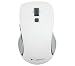 Produktbild Logitech Wireless Maus M560 910–003913 Radio Transfer, PC Maus, PC/Mac, 4 Möglichkeiten