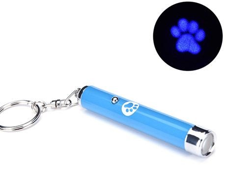 Preisvergleich Produktbild Phone Tattoo Spielzeug für Katzen / LED-Pointer mit blauem Tatzenmotiv