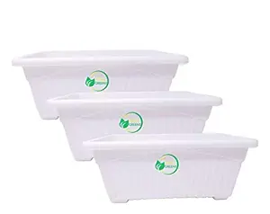 Oshi Greens Rectangular 14 INCHES Plastic Planters Pots for Plants/Vegetables/Garden (White, 3 Pieces)