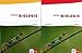 Markl Biologie Oberstufe: Schülerbuch und Arbeitsbuch (Paket) Klassen 10-12 (G8), Klassen 11-13 (G9) (Markl Biologie Oberstufe. Bundesausgabe ab 2010) by 