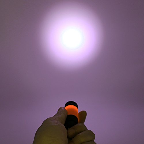 Blue Vessel Wiederaufladbare USB-LED-Licht-Taschenlampen-Lampen-Mini-Taschenlampe Schlüsselbund Tasche Wasserdicht (orange) - 6