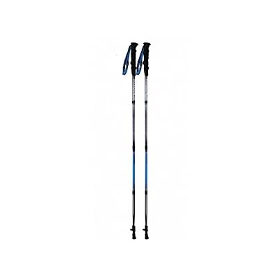 Raidlight Bâtons Raidlight Compact Carbon Ultra Gris Bleu (X2)