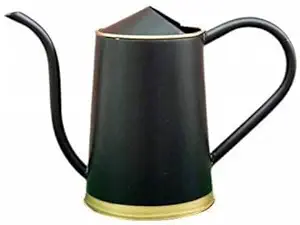 Truphe 2 litres Metal Watering Can for Plants with Long Spout | Flower Watering Pot for Home Gardening - (Black)