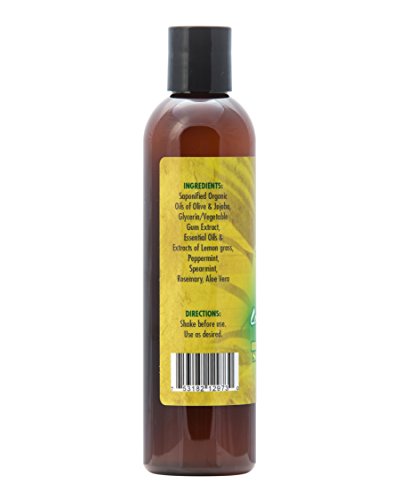 TROPIC ISLE LIVING BUSH BATH & SHOWER GEL (LEMONGRASS MINT)