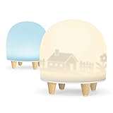 ❤ DIY DEKORATIVE FOLIEN: Das LED Kind Nachtlicht enthält 3 Deko Filmen. Eine wiederverwendbare leere Folie ist für Sie und Ihr Baby zu malen. Das ist ein Nachtlichter für Kinder mit vielen Spaß.