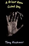 Cover zum Buch A Bright Room Called Day