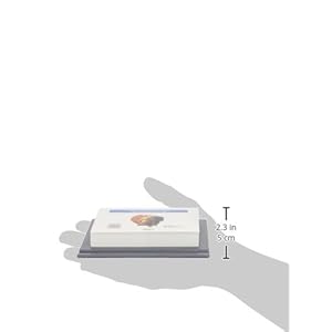 Taco mesa 2015 con soporte (Corazon De Jesus 2015)