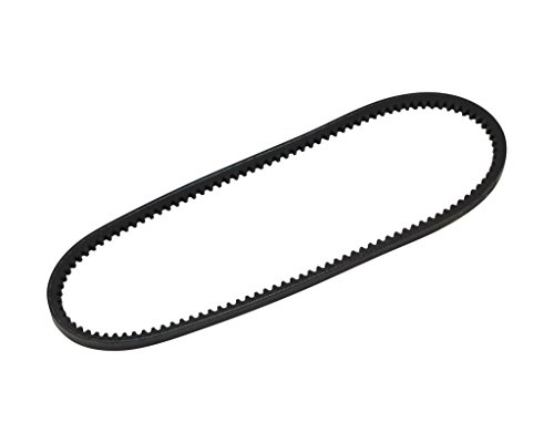 Preisvergleich Produktbild Keilriemen