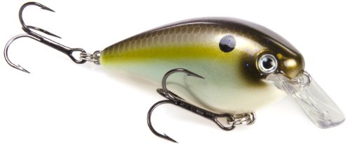 Strike KingSquare Bill 1.0 Crankbait