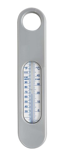 Bébé-Jou Bath Thermometer (Silver)