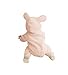 DINGANG Baby Cartoon Animal Hooded Warm Jumpsuits 0-2years