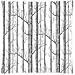 White Birch Trees Cushion Case - Square Pillowcase Cushion Case Throw Pillow Cover with Invisible Zipper Closure - 18x18 inches, Twin-sided