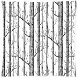 White Birch Trees Cushion Case - Square Pillowcase Cushion Case Throw Pillow Cover with Invisible Zipper Closure - 18x18 inches, Twin-sided
