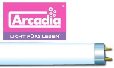 Arcadia T8 60" 58w Tropical Tube by Wil Maring