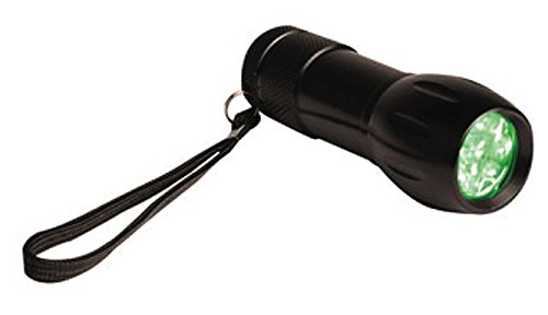 Active Eye  -Active Eye -