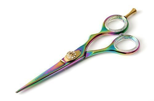 CANDURE® - Professional Hairdressing Scissors 5.5 inch, RAINBOW COLOUR + Case