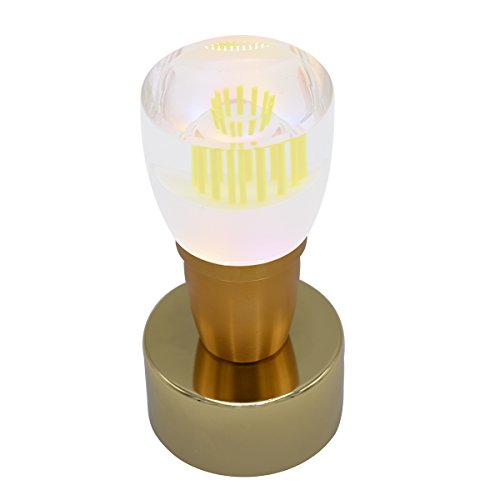 Preisvergleich Produktbild Chuangding Legierungs-überzogene Farben-ändernde / monochromatische Tabellen-Schreibtisch-Lampe für Partei-Hauptbatteriebetriebenes TCD-1220B