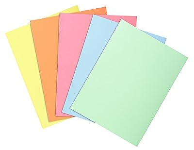 Exacompta Super 60 Pack de 100 Sous-Chemises pour A4 22 x 31 cm Couleurs Assorties