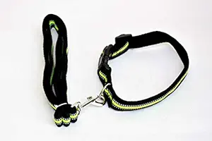 Dogista Pet Products HX-502 Leash Collar Set, 5.5 Feet