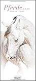 Pferde - Horses - Chevaux 2020 - Pferde-Kalender im Hochformat 30 x 68,5 cm by