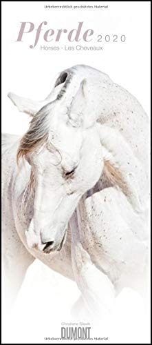 Pferde - Horses - Chevaux 2020 - Pferde-Kalender im Hochformat 30 x 68,5 cm