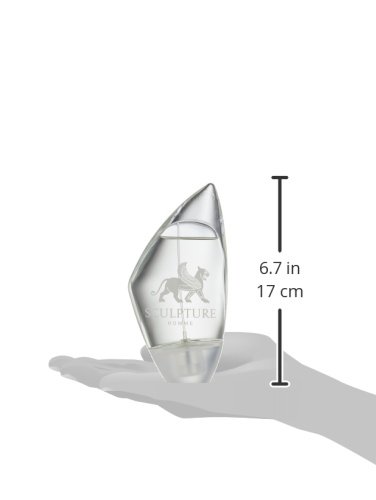 Nikos Sculpture, homme/man, Eau de Toilette Spray, 1er Pack (1 x 100 ml) - 4