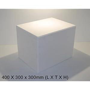 Styroporkisten / Styroporbox / Thermobox 400 x 300 x 300mm