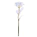 Produktbild Duoying 24K Goldfolie Blume Ewigkeit Rose Schöne Regenbogen Goldfolie Valentine's Day Party