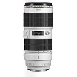 Canon EF 70-200 mm F 2.8 L IS III USM MILC/SLR Tele - Objetivo (MILC/SLR, 23/19, Teleobjetivo, 1,2 m, 70-200 mm, 29°)