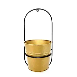 Bloomingdale Arched Metal Bucket for Indoor & Outdoor Plants Wall Mounted Planter for Balcony Decor, Modern Hanging Pot Holder Stand - Shiny Golden Color- Hanging Plant Stand, Standard (PlantBucket1)