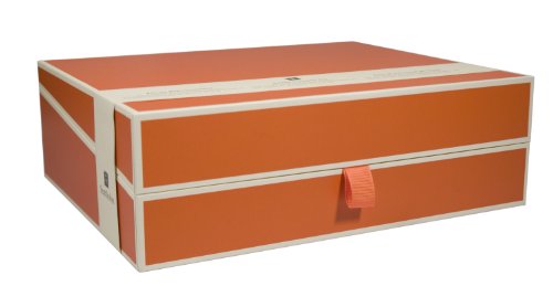 Semikolon Dokumentenbox orange (orange) | Sammel-Box und Aufbewahrungsbox für Dokumente im A4 Format und Unterlagen | geräumige Box und praktisches Ablage-System im Format 31,5 × 26 × 10 cm