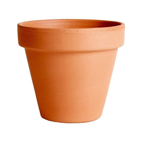 Maceta de Barro de 17 cm de diámetro