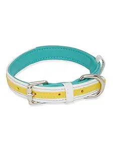 The Pawpstar Co. by Aditya Birla New Age Leather Collar for Dogs (Sunrise) (Medium)