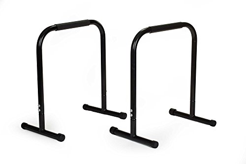 Preisvergleich Produktbild RioFit Equalizer DipBar