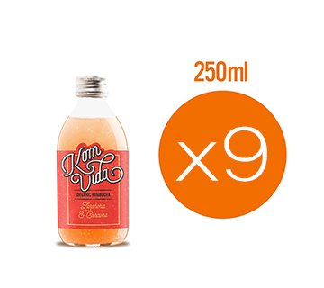 Té Kombucha - Pack 9x250ml - Zanahoria y cúrcuma (9)