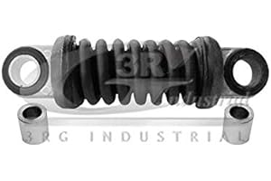 3RG INDUSTRIAL - Tensor Alternador- OEM 575181 9623659880 4917166G00 - Piezas para Coche Recambios Motor y Otras Partes de Vehículo | Compatible con los Modelos de Coche y Moto indicados más Abajo.