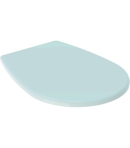 Geberit Abattant Renova Plan, Charnière Inox